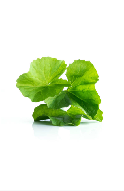 glisn gotu kola