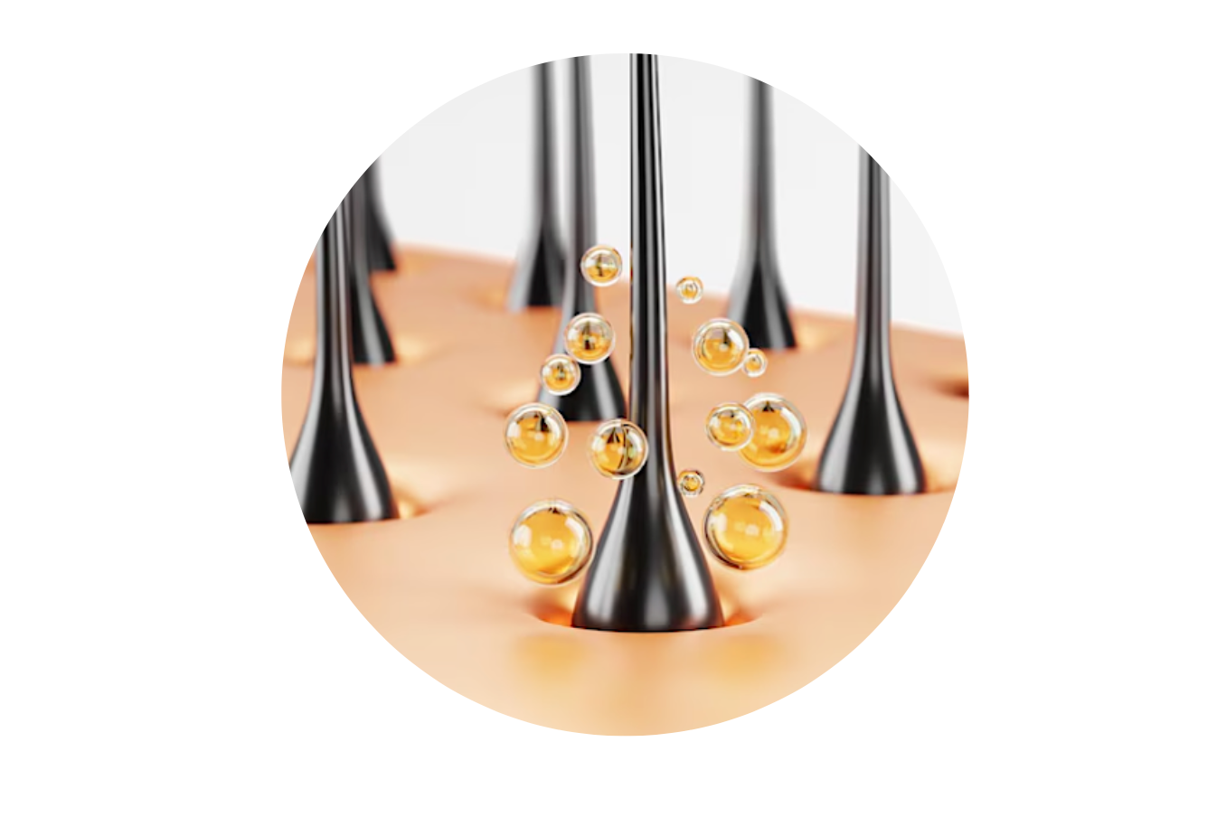 Why a Healthy Scalp & Scalp Renewal Are the Foundations of Hair Wellness