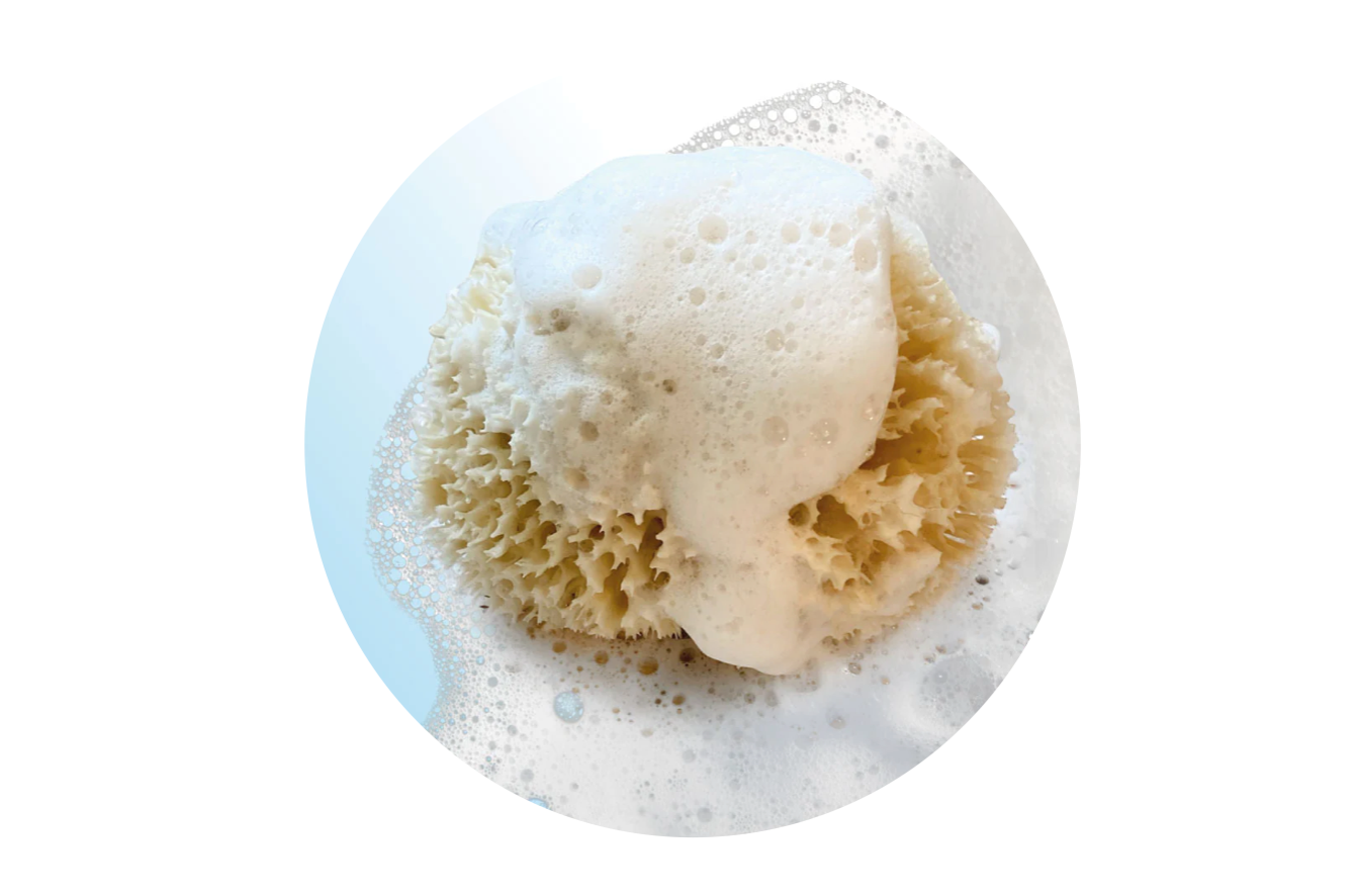 Why Use Natural Sea Sponges in the Shower? The Benefits Explained